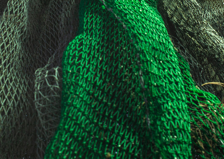 Uni Sun Today Full Coverage Bikini Bottom For Women Quiksilver